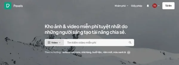 25-nguon-video-mien-phi